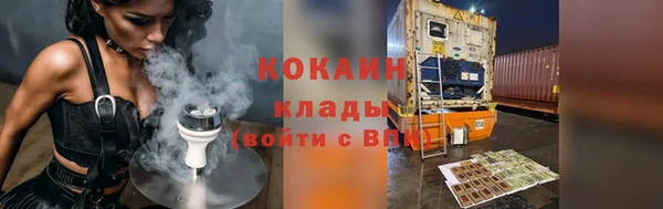 шишки Наволоки
