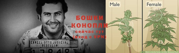 шишки Наволоки
