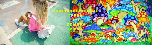 молекула духа Надым