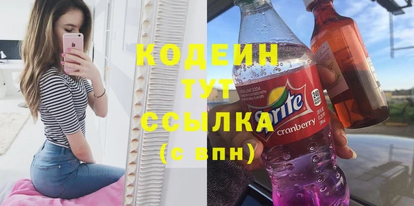 молекула духа Надым