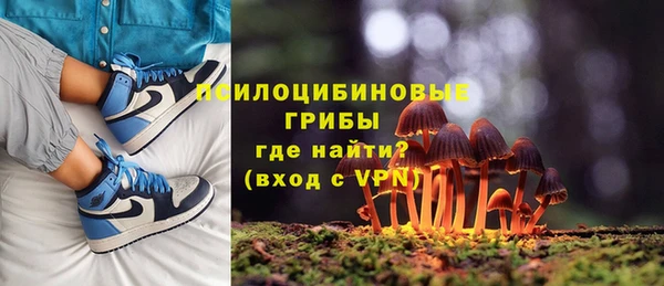 молекула духа Надым