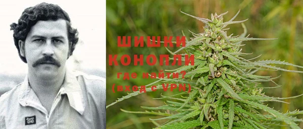 шишки Наволоки