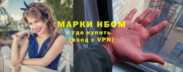 шишки Наволоки