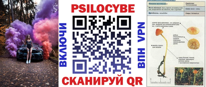 площадка клад  Улан-Удэ  Галлюциногенные грибы ЛСД 