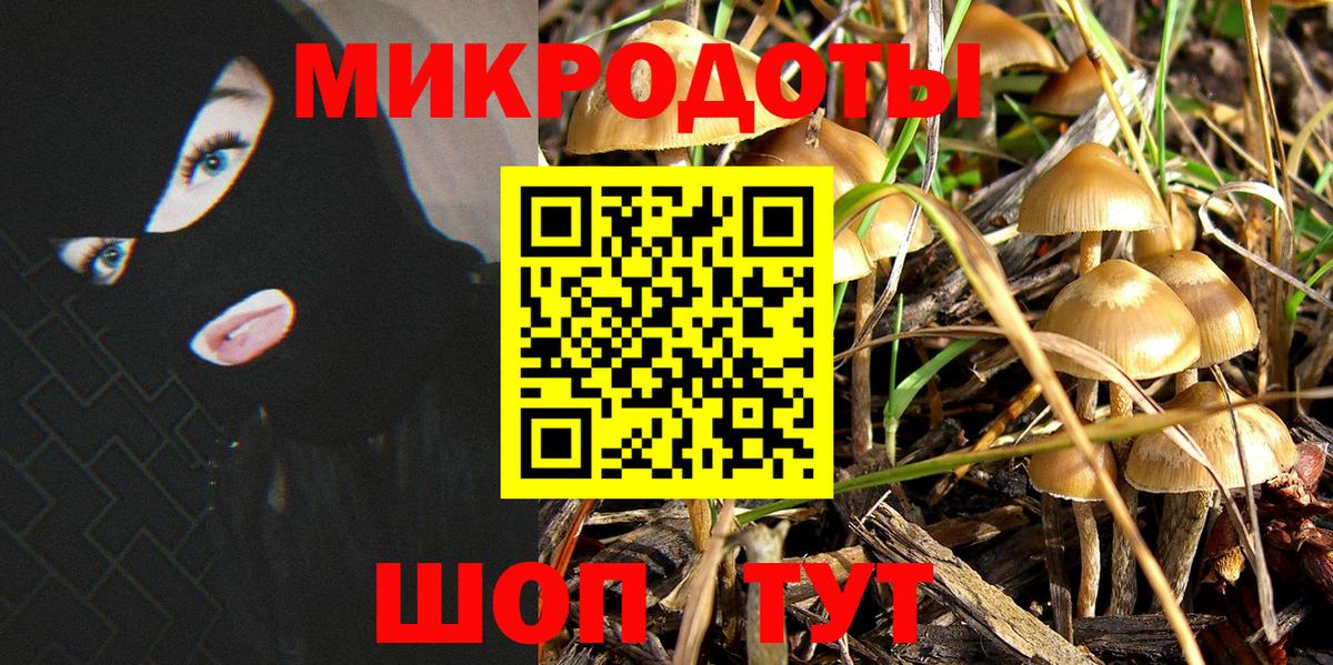 Псилоцибиновые грибы MAGIC MUSHROOMS  Псилоцибиновые грибы MAGIC MUSHROOMS  Вход с VPN  где найти   Улан-Удэ 
